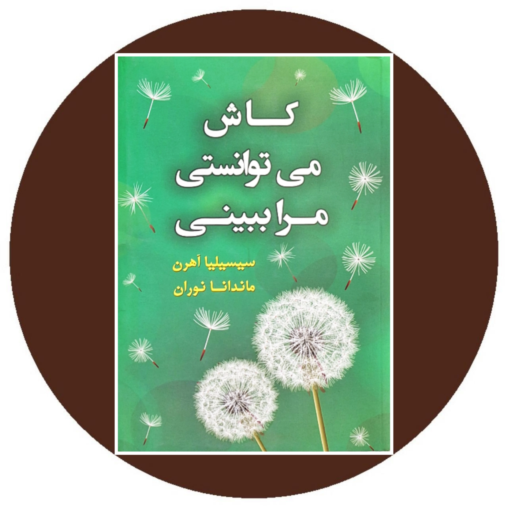 کتاب کاش می توانستی مرا ببینی - خرید با تخفیف چهل درصد از کتاب دایره قهوه ای