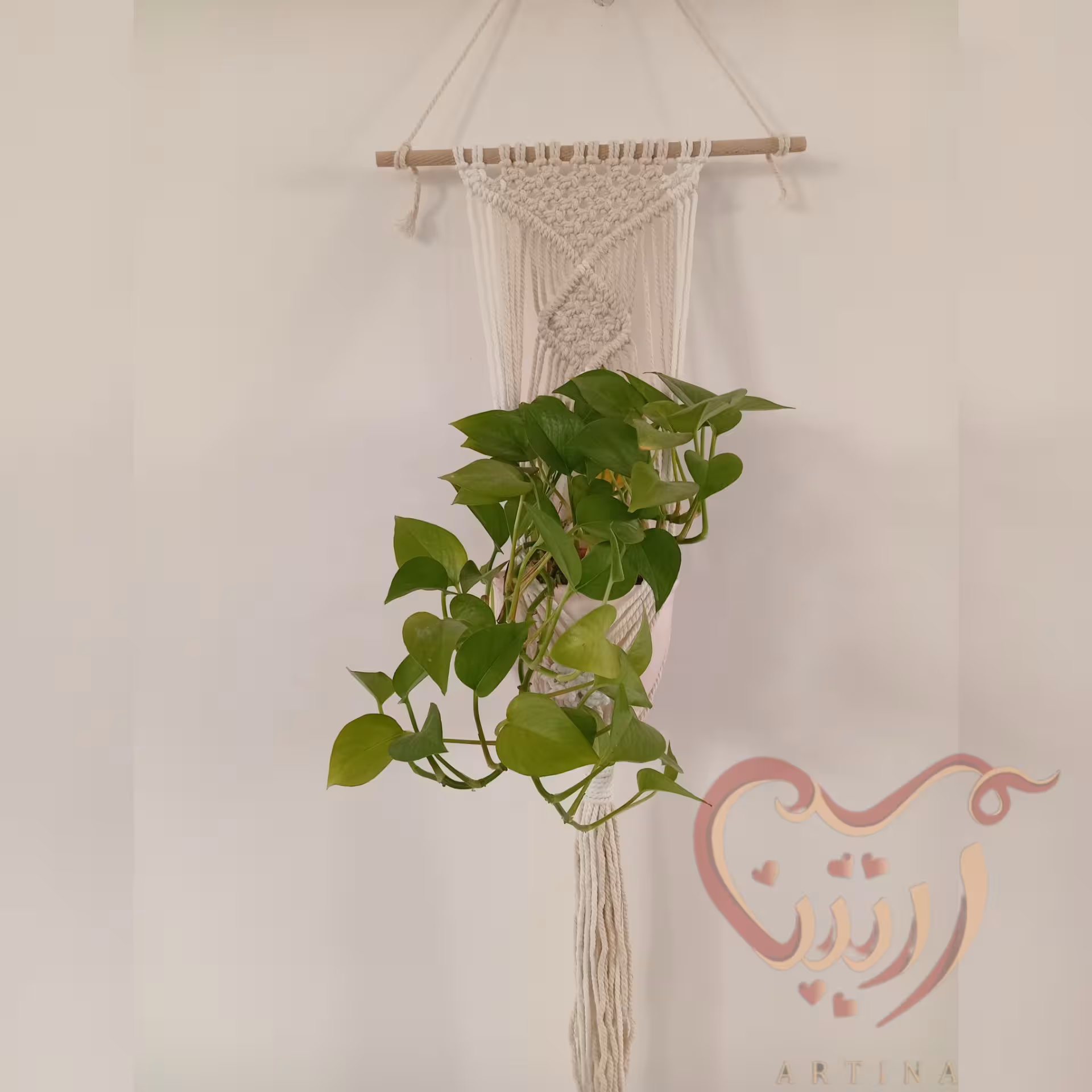 آویز گلدون مدل دیوارکوبی 