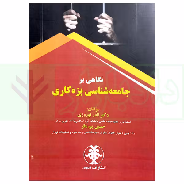 نگاهی بر جامعه شناسی بزه کاری | دکتر نوروزی و پور باقر