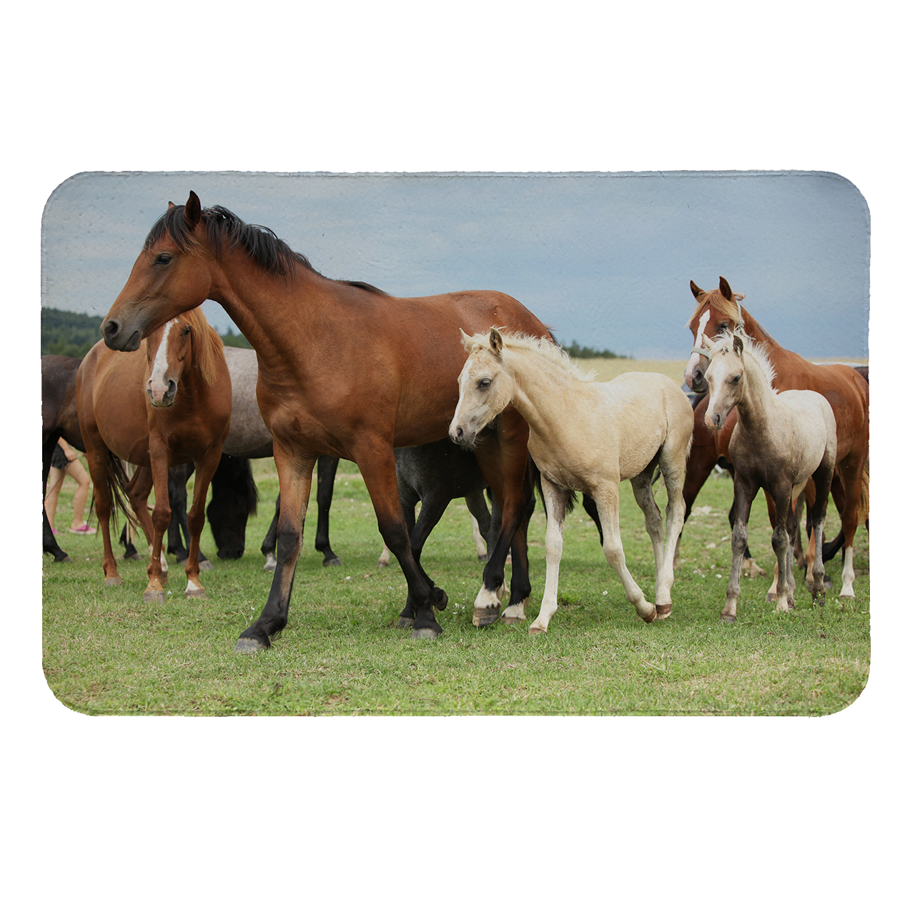 زیرقابلمه ای طرح اسب کد 6191