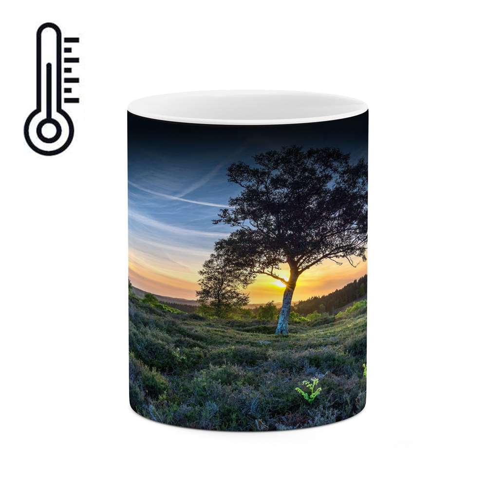 ماگ حرارتی کاکتی طرح منظره مدل mgh13204