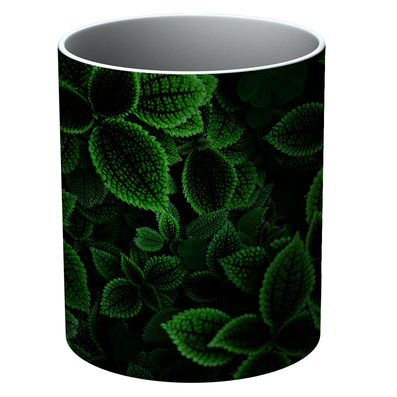 ماگ طرح برگ و گیاه مدل NI53