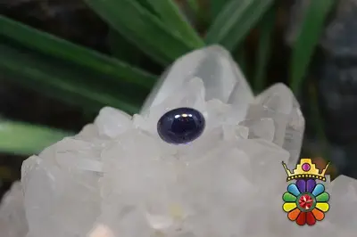 ایولیت (کوردیریت)