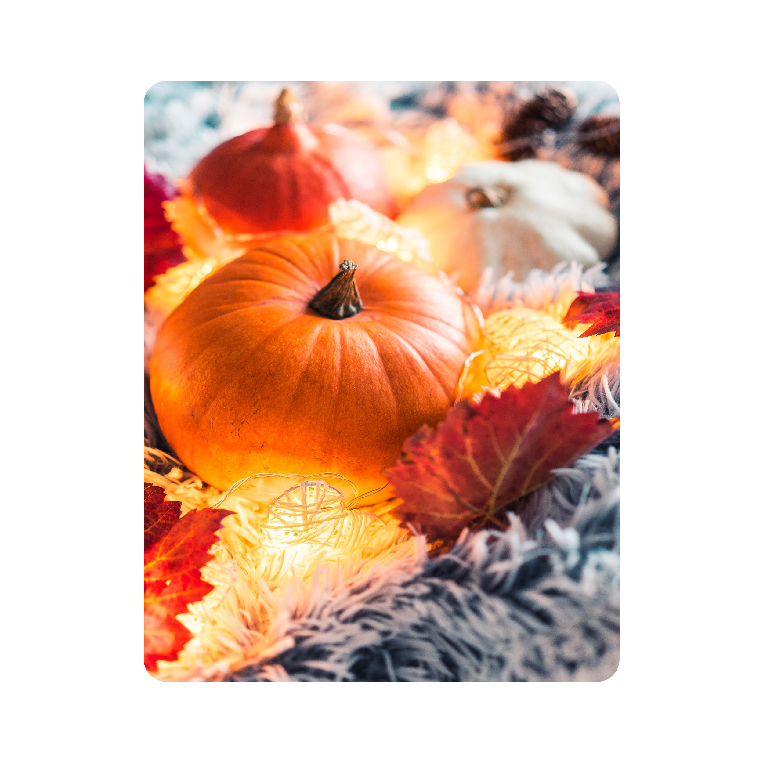 ماوس پد اطلس آبی طرح برگ و کدو تنبل مدل T1796