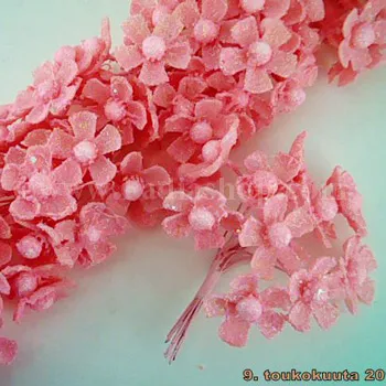 گل تزئینی اکلیل دار