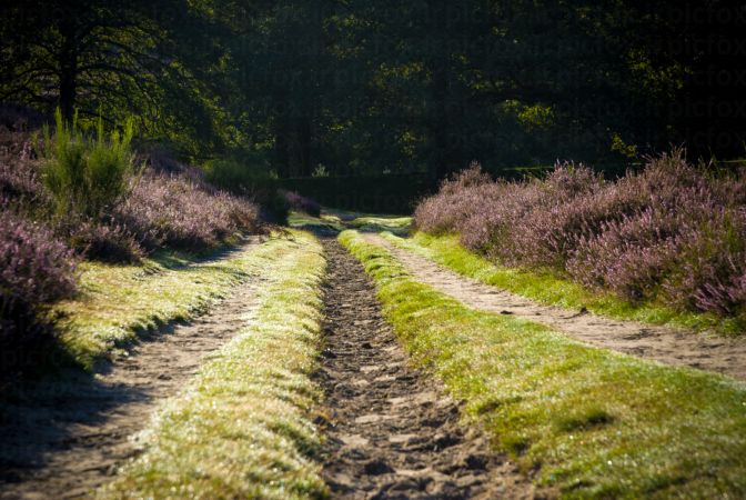 خرید و دانلود عکس Nature-Part-2 کد 35992 | پیک فاکس | Pic Fox