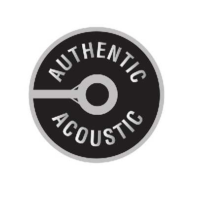 سیم گیتار اکوستیک مارتین مدل MA170S