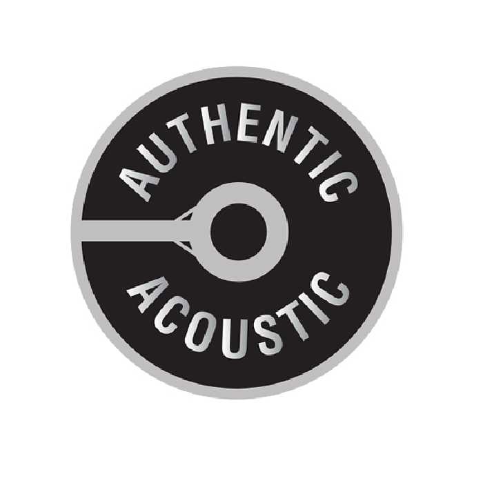 سیم گیتار اکوستیک مارتین مدل MA170S