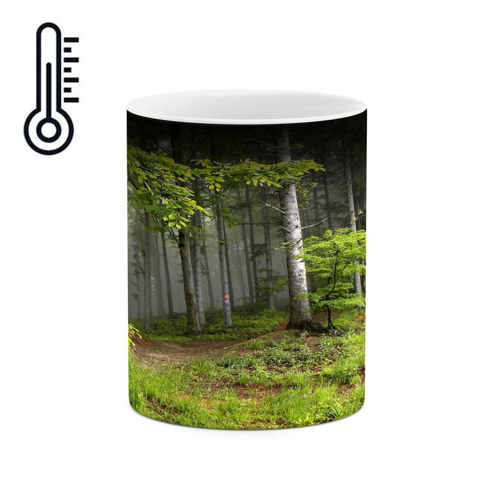 ماگ حرارتی کاکتی طرح منظره مدل mgh14088