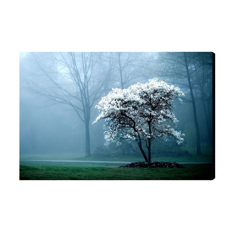 تابلو شاسی طرح منظره مدل As667 | دنیای قاب