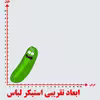 استیکر پارچه و لباس مدل ریک و مورتی