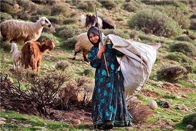 تحقیق ایلات استان فارس