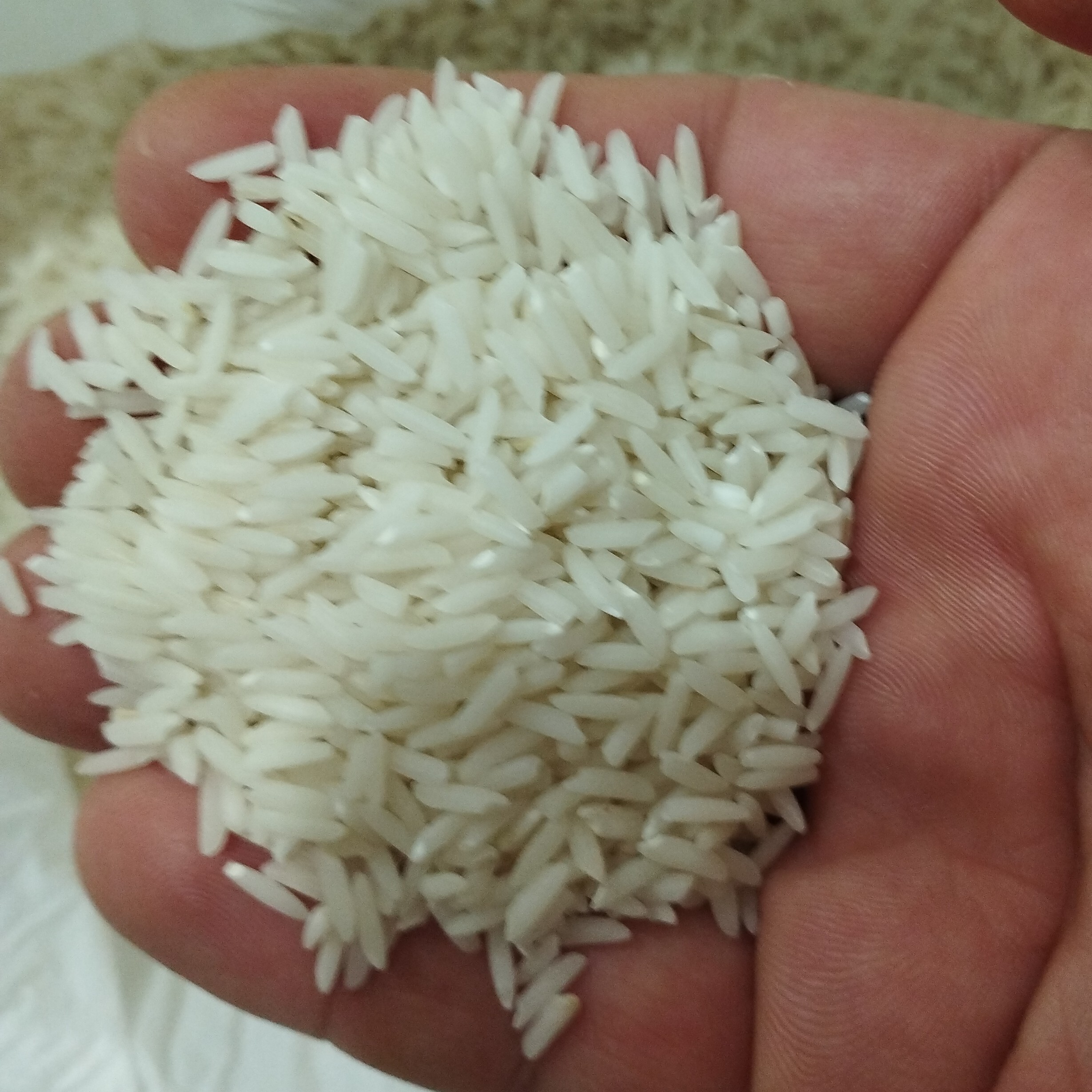 برنج هاشمی لاهیجان