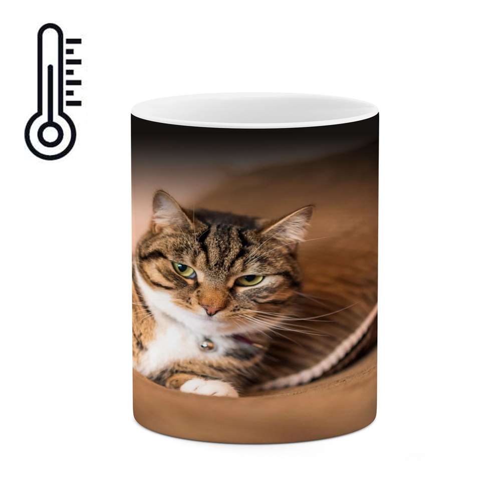 ماگ حرارتی کاکتی طرح گربه مدل mgh16437