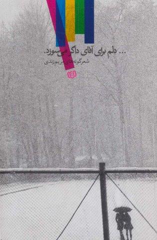 …دلم برای آقای داگر می سوزد. (شعرگونه های مریم زندی)