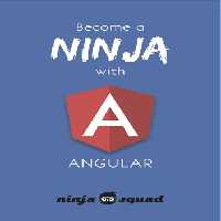 خرید و دانلود نسخه کامل کتاب Become A Ninja With Angular (2023-06-14)