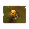 برچسب پوششی ماهوت مدل Dr-Mosadeq مناسب برای تبلت اپل iPad 2 2011 A1396