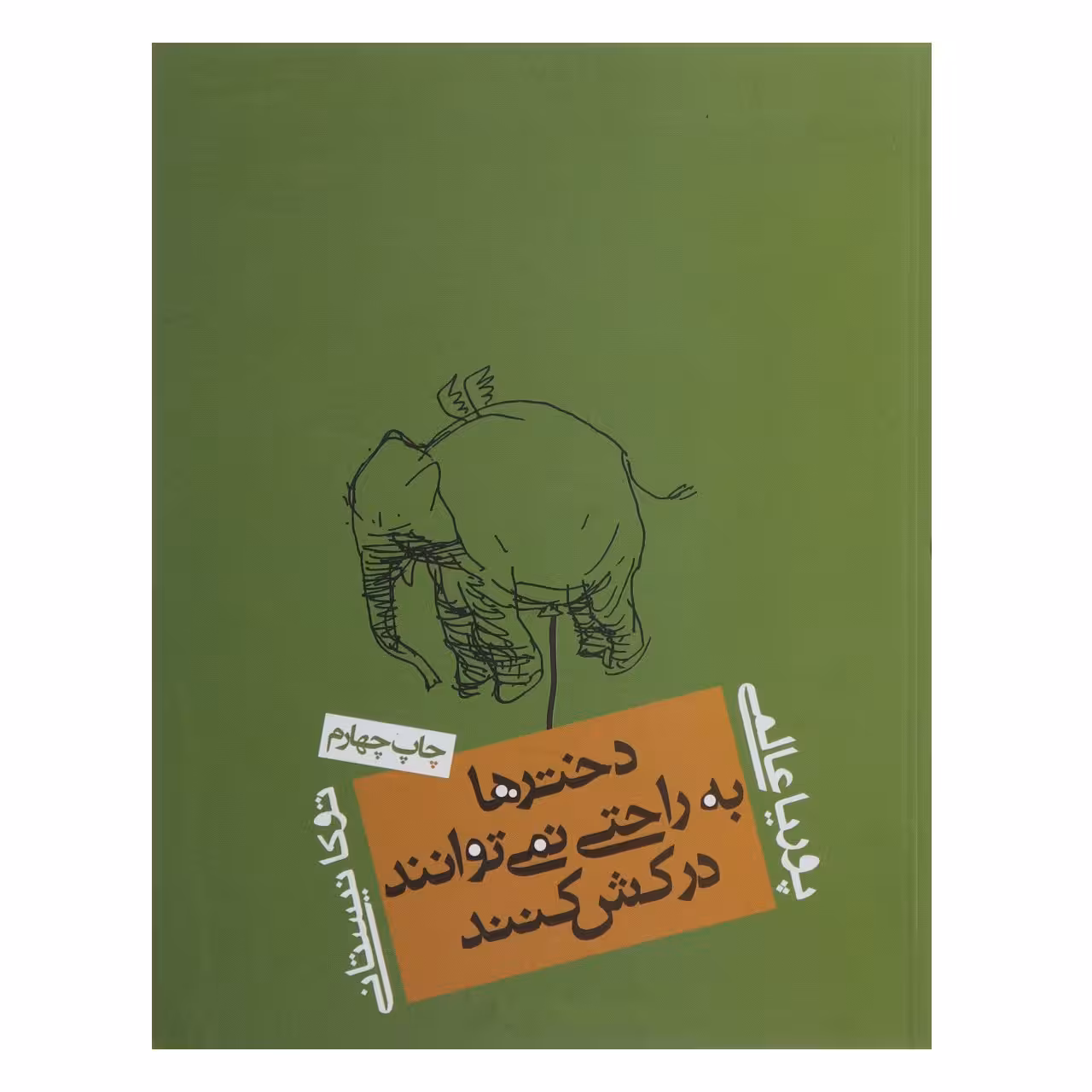 کتاب دخترها به راحتی نمی ‌توانند درکش کنند اثر پوریا عالمی
