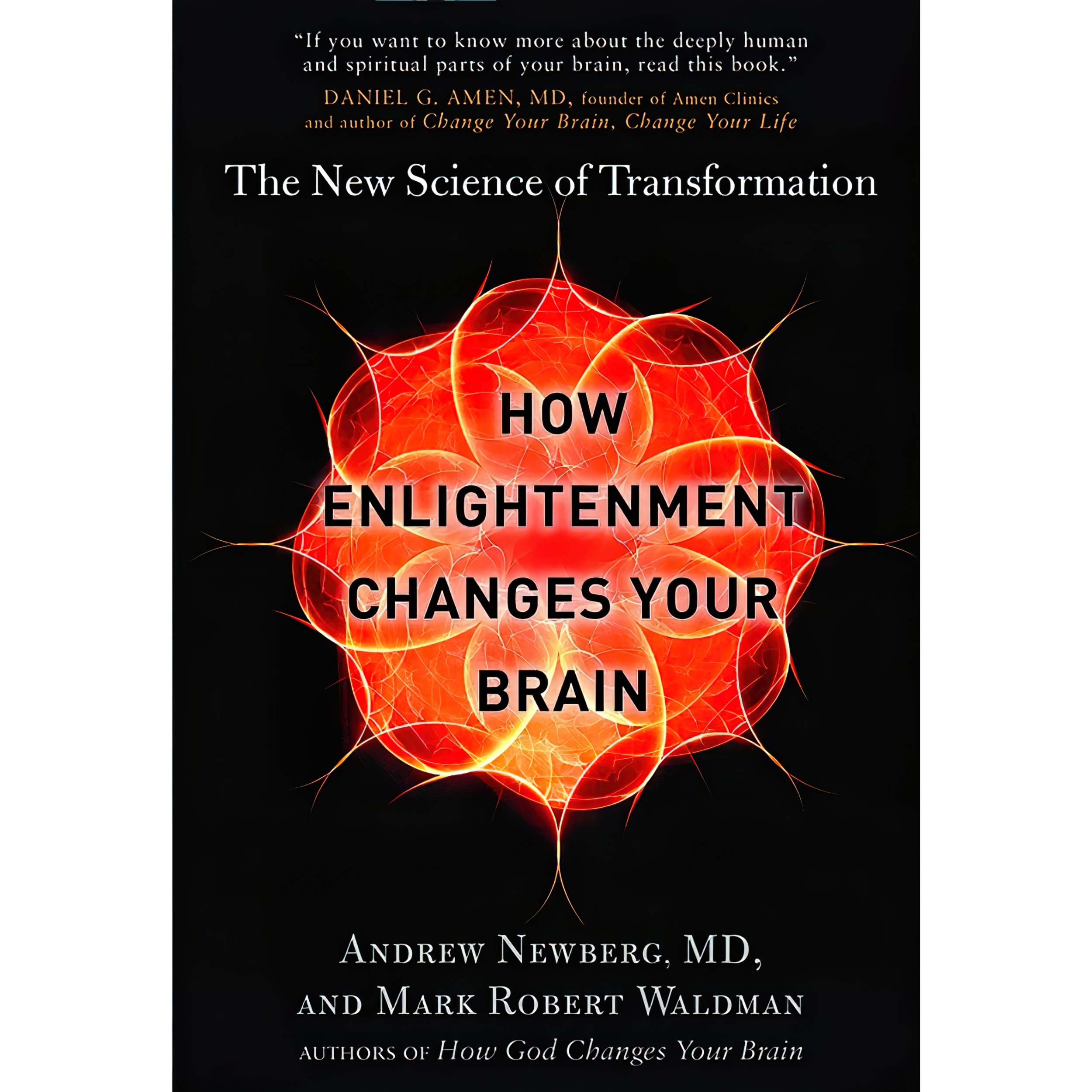 کتاب How Enlightenment Changes Your Brain اثر جمعی از نویسندگان انتشارات Brilliance