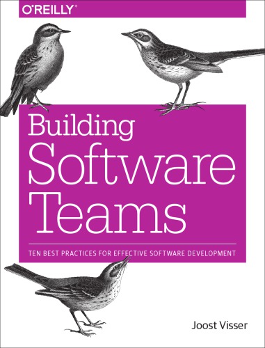 خرید و دانلود نسخه کامل کتاب Building Software Teams: Ten Best Practices for Effective Software Development
