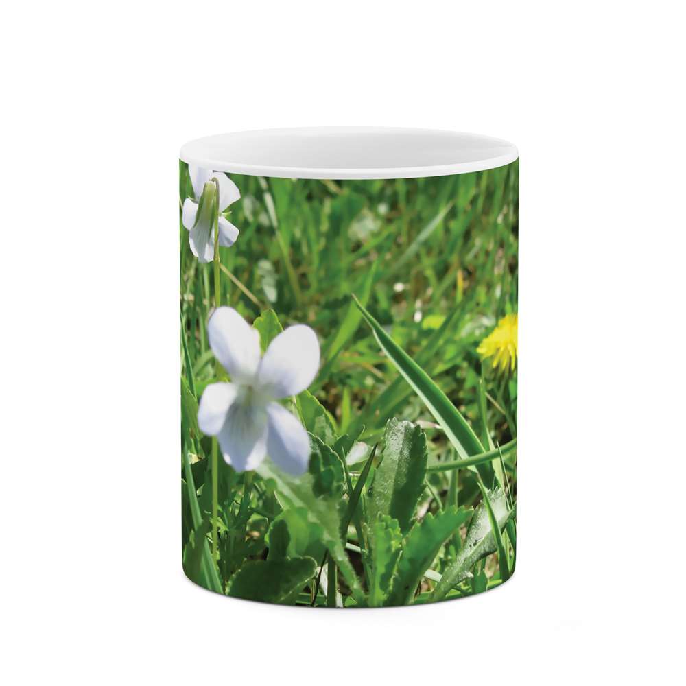 ماگ طرح شکوفه گل مدل mgs07856