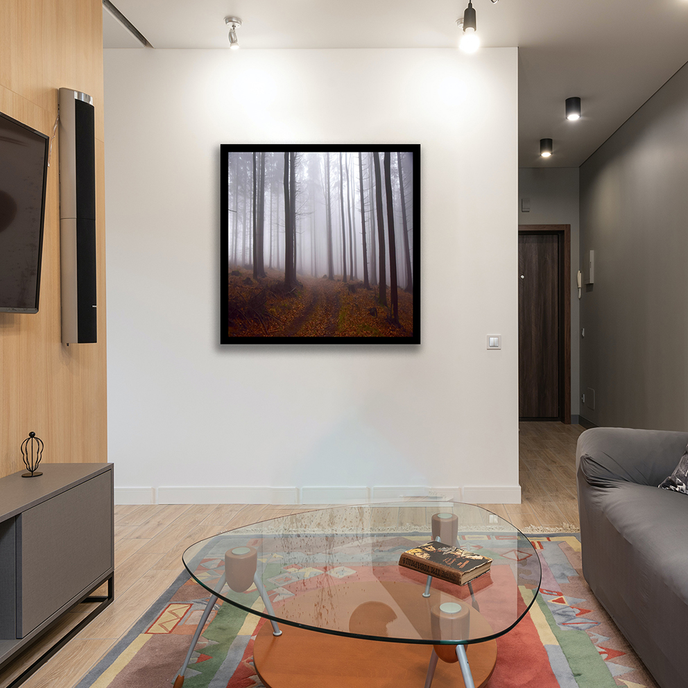 تابلو مدل جنگل مه آلود