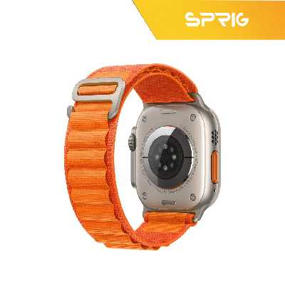 بند اسپریگ مدل Loop Alpine مناسب برای اپل واچ Series 5 Aluminum 44mm