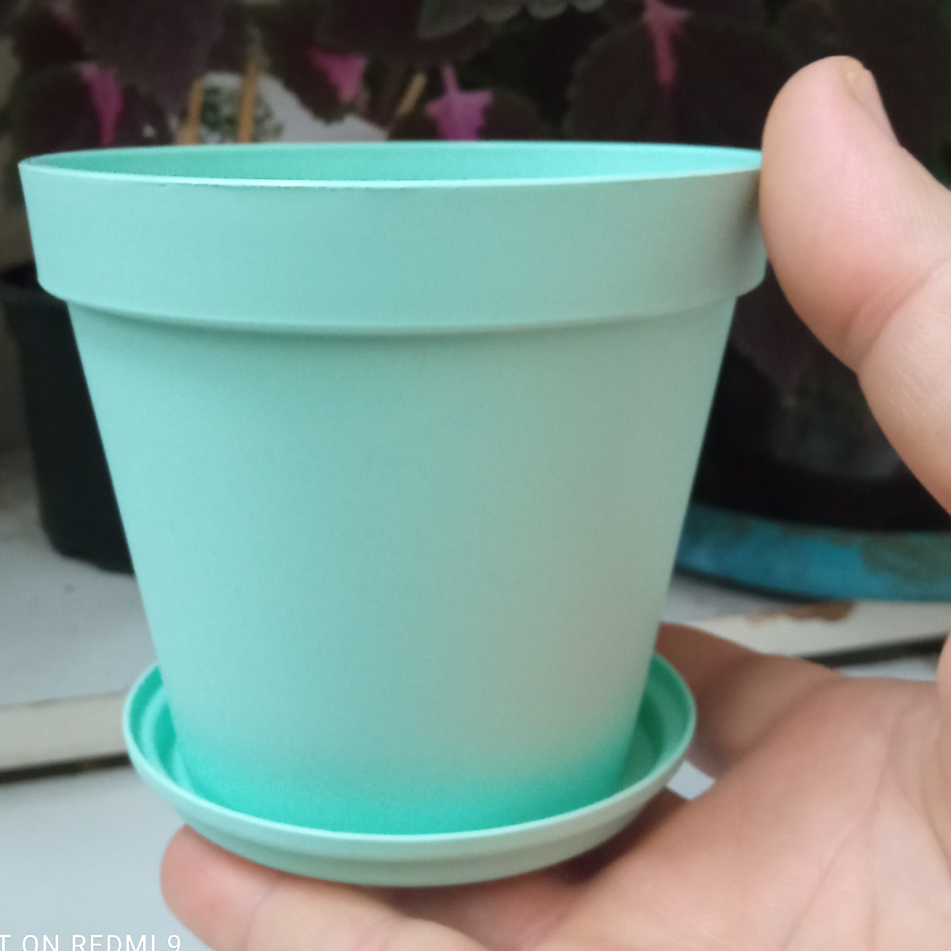 گلدان سایز نه مناسب جهت استفاده کاشت گیاهان آپارتمانی 