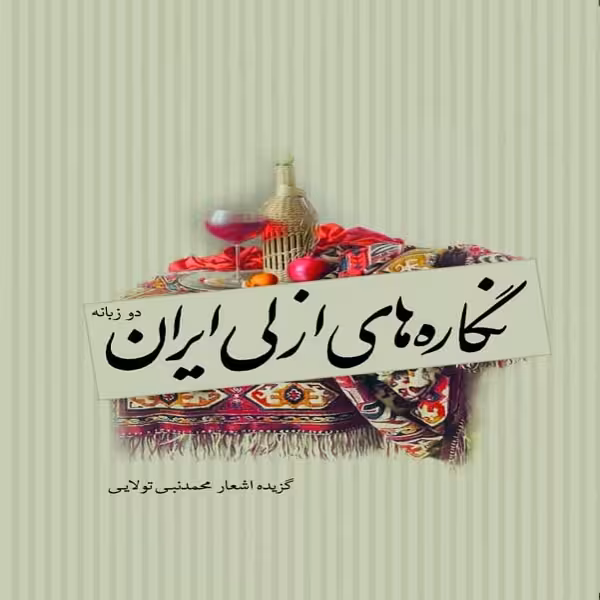 کتاب نگاره های ازلی ایران اثر محمدنبی تولایی انتشارات سبزان