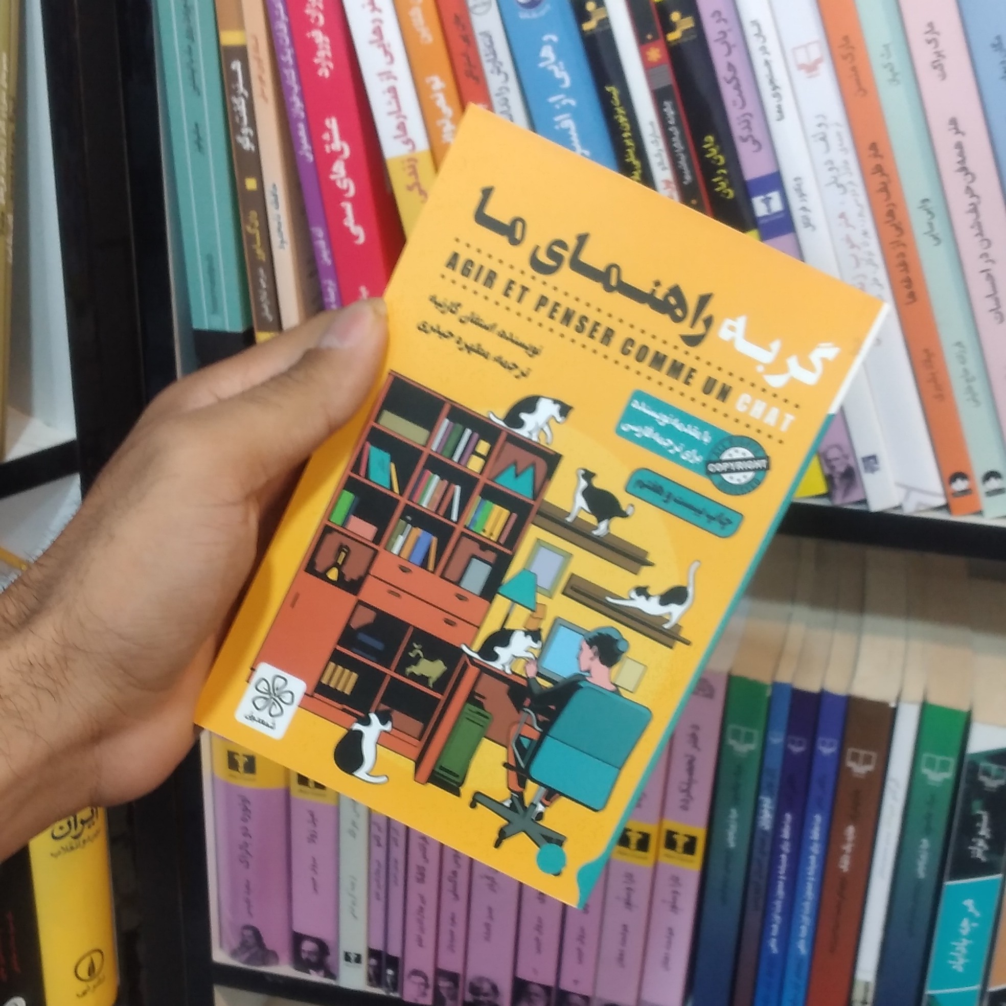 کتاب گربه راهنمای ما
