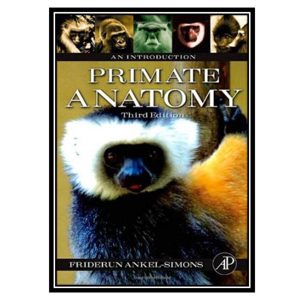 کتاب Primate Anatomy, Third Edition: An Introduction اثر Friderun Ankel-Simons انتشارات مؤلفین طلایی