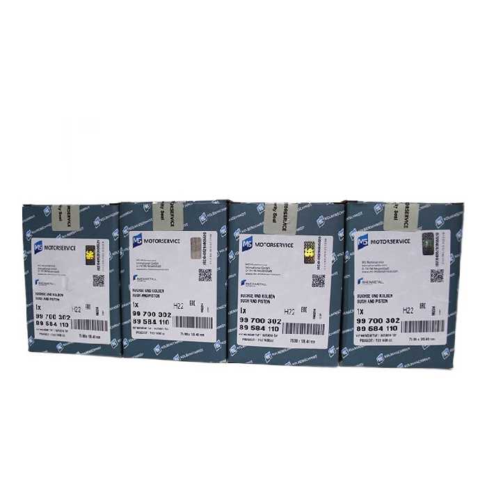 بوش و پیستون پژو 206 کلبن اشمیت