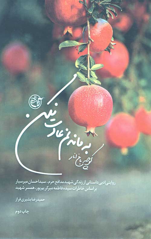 کوچه باغ انار به ماندنم عادت نکن: روایت ادبی از زندگی شهید مدافع حرم سید احسان میر سیار