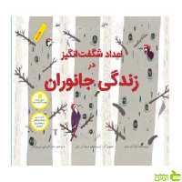 اعداد شگفت‌انگیز در زندگی جانوران شفر فاطمی - سیب ترش - SibTorsh لولا م شفر