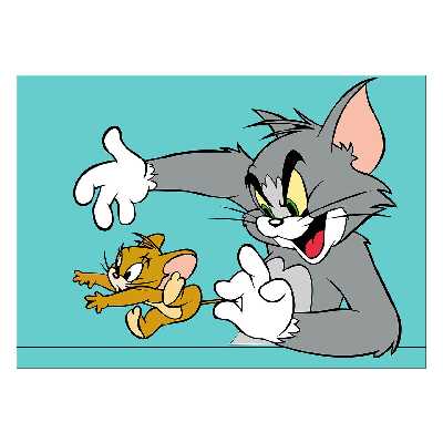 تابلو شاسی ونسونی طرح Tom and Jerry سایز 50x70 سانتی متر