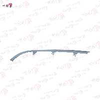 زه چراغ جلو پارس نقره ای چپ (ابروئی)