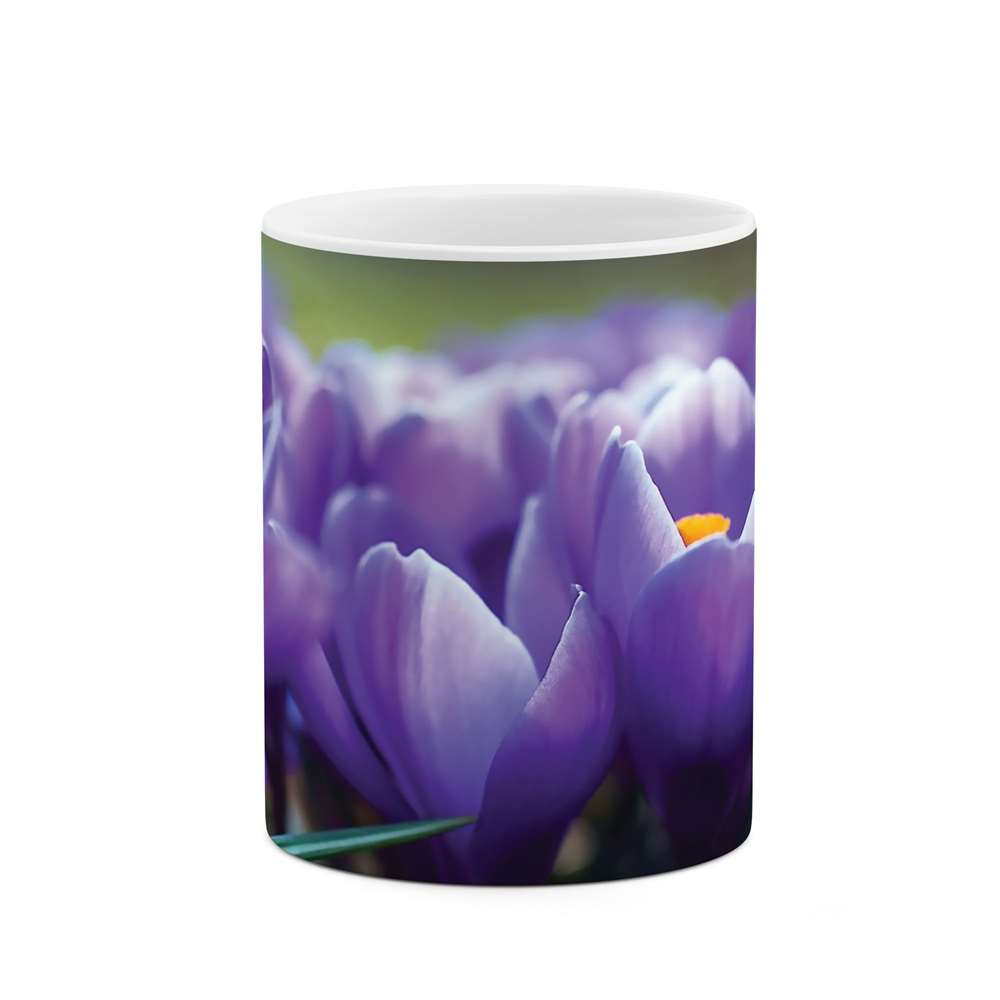 ماگ طرح گل مدل mgs06593