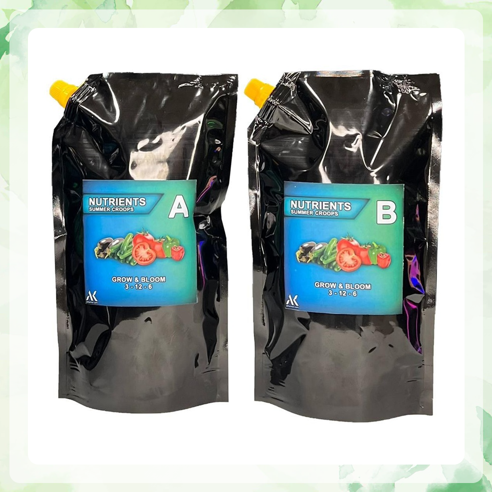 کود هیدروپونیک صیفی جات هوگلند دو پارت 600 سی سی