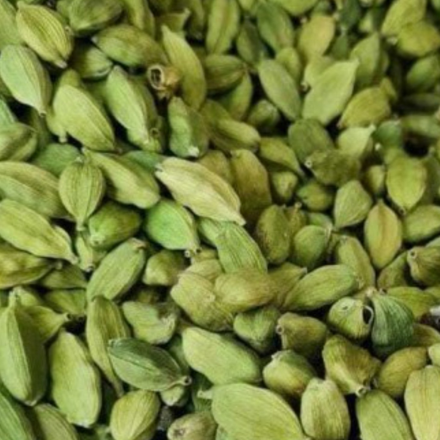 هل اکبر 15 گرمی