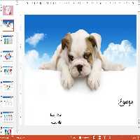 دریافت تم پاورپوینت زیبا دامپزشکی