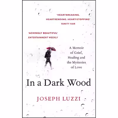 کتاب IN A DARK WOOD- PB اثر Joseph Luzzi انتشارات HARPER COLLINS