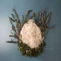 بک دراپ عکاسی کودک | گرافیک با طعم تربچه