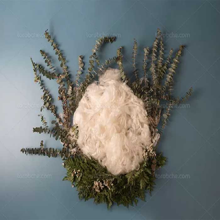 بک دراپ عکاسی کودک | گرافیک با طعم تربچه