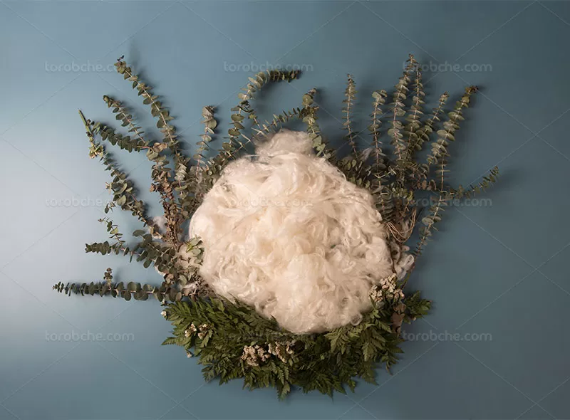 بک دراپ عکاسی کودک | گرافیک با طعم تربچه