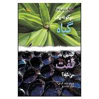 کتاب چگونه یک گیاه تبدیل به نفت می‌شود؟ اثر لیندا تاگلیافرو انتشارات کانون پرورش فکری کودکان و نوجوانان