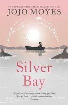 Silver Bay | مرکز فرهنگی آبی