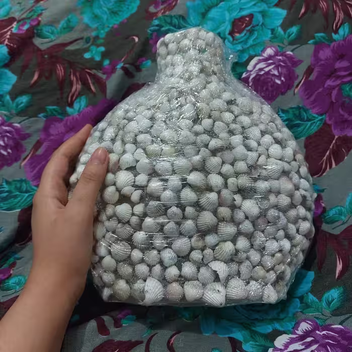 گلدان صدفی