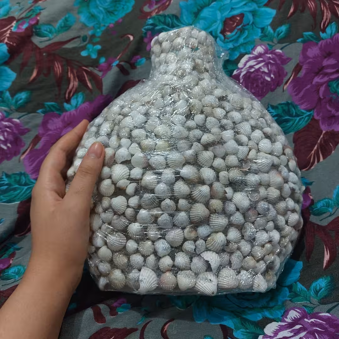گلدان صدفی