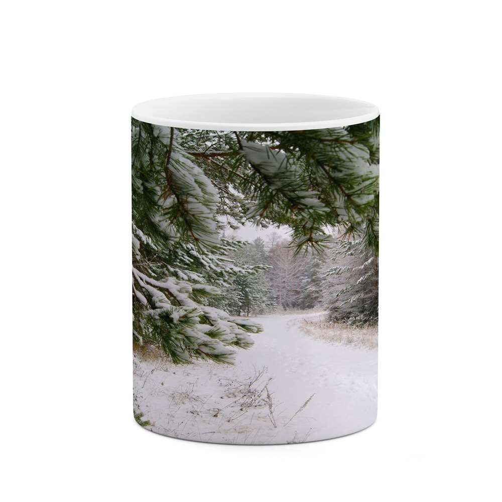 ماگ کاکتی طرح منظره برفی مدل mgs15110