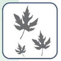 شابلون طرح برگ کد 61 سایز 40 در 60 